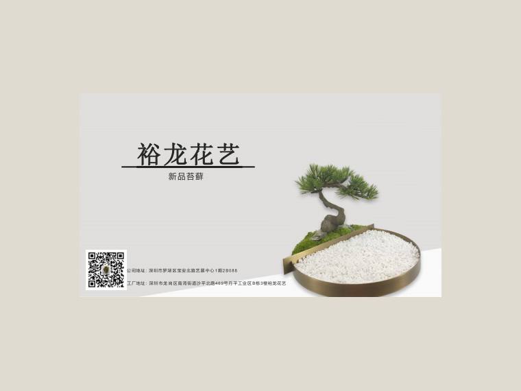 裕龙花艺 苔藓盆景 preview