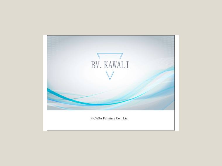 Ficasa-BV.KAWALI电子图册(1) cover