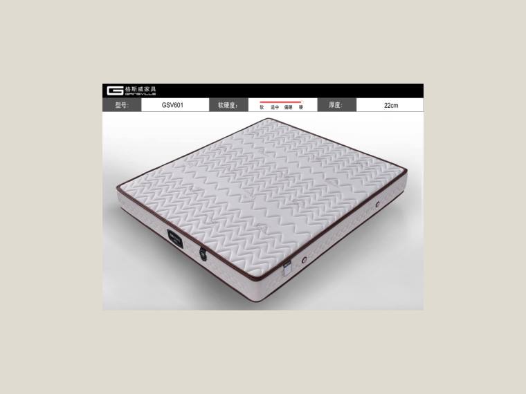 Gainsville mattress cover